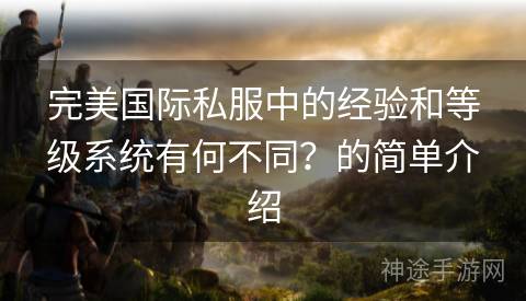 完美国际私服中的经验和等级系统有何不同？的简单介绍