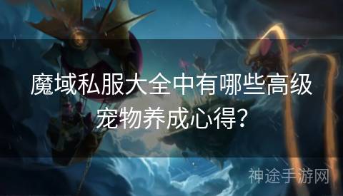 魔域私服大全中有哪些高级宠物养成心得？