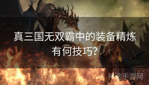 真三国无双霸中的装备精炼有何技巧？