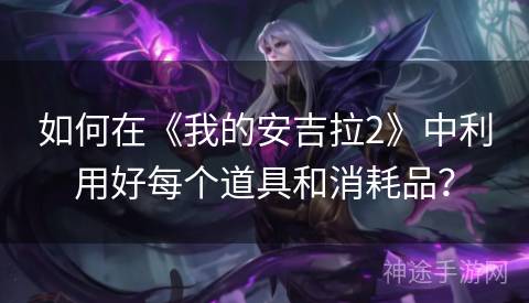 如何在《我的安吉拉2》中利用好每个道具和消耗品？