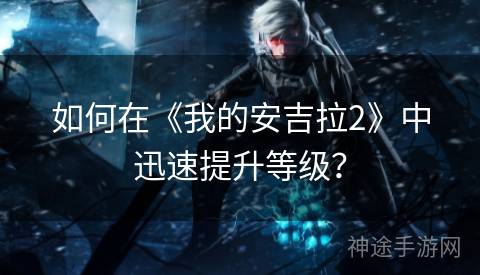 如何在《我的安吉拉2》中迅速提升等级？