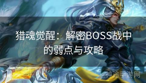 猎魂觉醒：解密BOSS战中的弱点与攻略