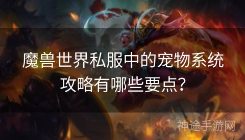 魔兽世界私服中的宠物系统攻略有哪些要点？