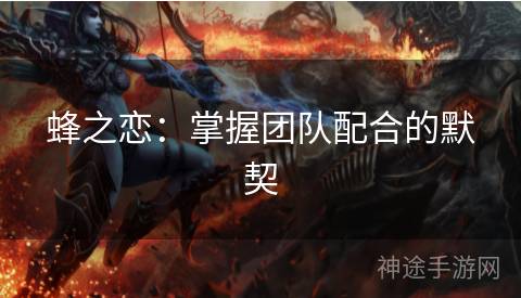 蜂之恋：掌握团队配合的默契