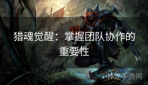 猎魂觉醒：掌握团队协作的重要性