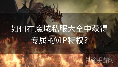 如何在魔域私服大全中获得专属的VIP特权？