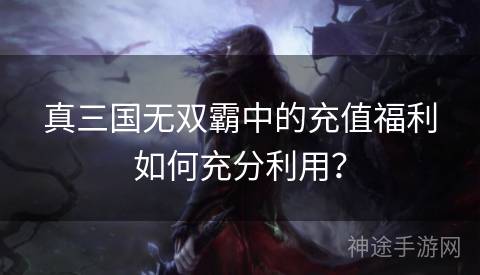 真三国无双霸中的充值福利如何充分利用？