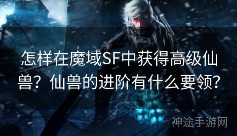 怎样在魔域SF中获得高级仙兽？仙兽的进阶有什么要领？