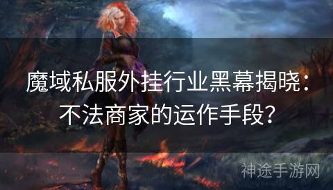 魔域私服外挂行业黑幕揭晓：不法商家的运作手段？