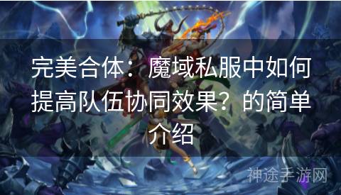 完美合体：魔域私服中如何提高队伍协同效果？的简单介绍