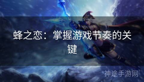 蜂之恋：掌握游戏节奏的关键