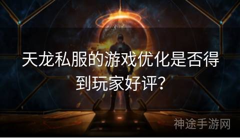 天龙私服的游戏优化是否得到玩家好评？