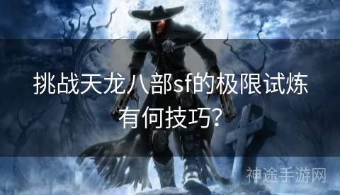 挑战天龙八部sf的极限试炼有何技巧？
