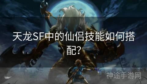 天龙SF中的仙侣技能如何搭配？