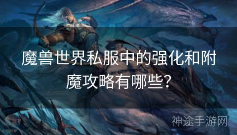 魔兽世界私服中的强化和附魔攻略有哪些？