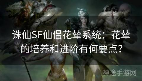 诛仙SF仙侣花辇系统：花辇的培养和进阶有何要点？