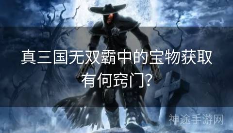 真三国无双霸中的宝物获取有何窍门？