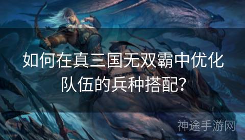 如何在真三国无双霸中优化队伍的兵种搭配？