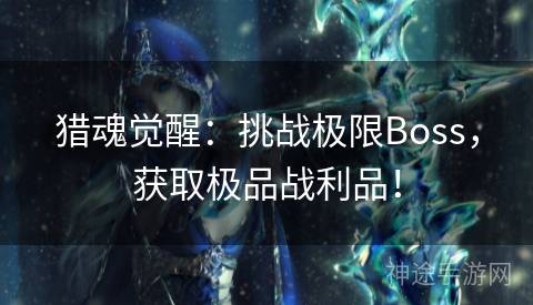 猎魂觉醒：挑战极限Boss，获取极品战利品！