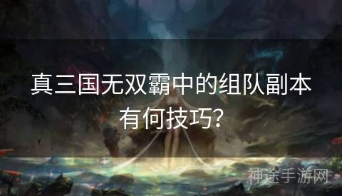 真三国无双霸中的组队副本有何技巧？