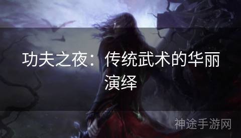 功夫之夜：传统武术的华丽演绎