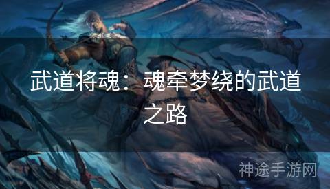 武道将魂：魂牵梦绕的武道之路