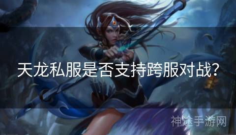 天龙私服是否支持跨服对战？