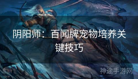 阴阳师：百闻牌宠物培养关键技巧