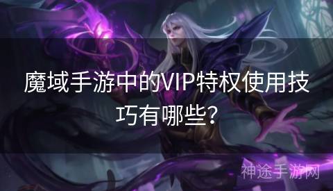 魔域手游中的VIP特权使用技巧有哪些？