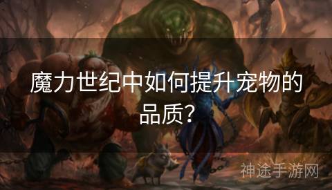 魔力世纪中如何提升宠物的品质？