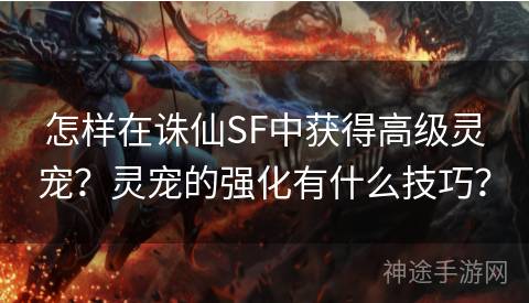 怎样在诛仙SF中获得高级灵宠？灵宠的强化有什么技巧？