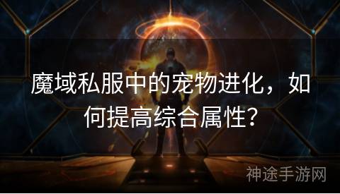 魔域私服中的宠物进化，如何提高综合属性？