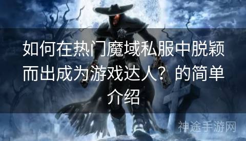 如何在热门魔域私服中脱颖而出成为游戏达人？的简单介绍