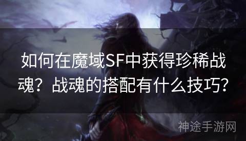 如何在魔域SF中获得珍稀战魂？战魂的搭配有什么技巧？