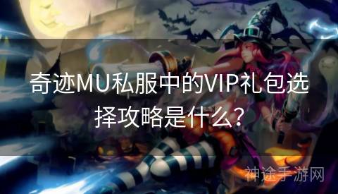 奇迹MU私服中的VIP礼包选择攻略是什么？