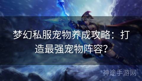 梦幻私服宠物养成攻略：打造最强宠物阵容？