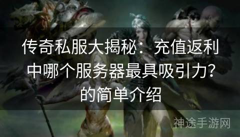 传奇私服大揭秘：充值返利中哪个服务器最具吸引力？的简单介绍