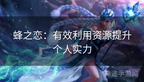 蜂之恋：有效利用资源提升个人实力