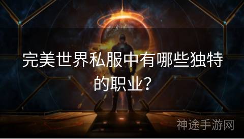 完美世界私服中有哪些独特的职业？