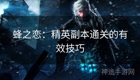 蜂之恋：精英副本通关的有效技巧