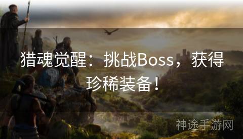 猎魂觉醒：挑战Boss，获得珍稀装备！