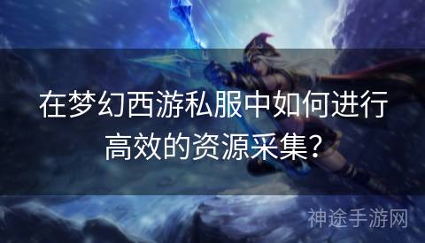 在梦幻西游私服中如何进行高效的资源采集？