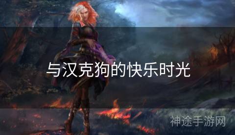 与汉克狗的快乐时光