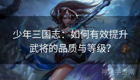 少年三国志：如何有效提升武将的品质与等级？