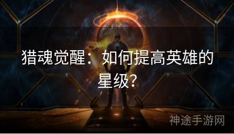 猎魂觉醒：如何提高英雄的星级？