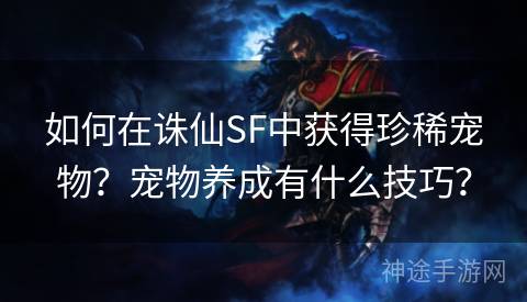 如何在诛仙SF中获得珍稀宠物？宠物养成有什么技巧？