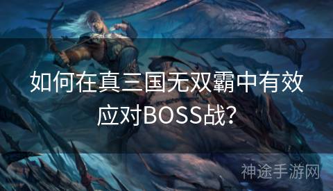 如何在真三国无双霸中有效应对BOSS战？