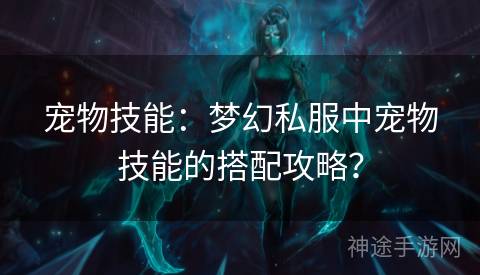 宠物技能：梦幻私服中宠物技能的搭配攻略？