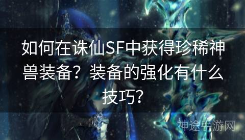 如何在诛仙SF中获得珍稀神兽装备？装备的强化有什么技巧？