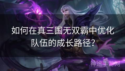 如何在真三国无双霸中优化队伍的成长路径？